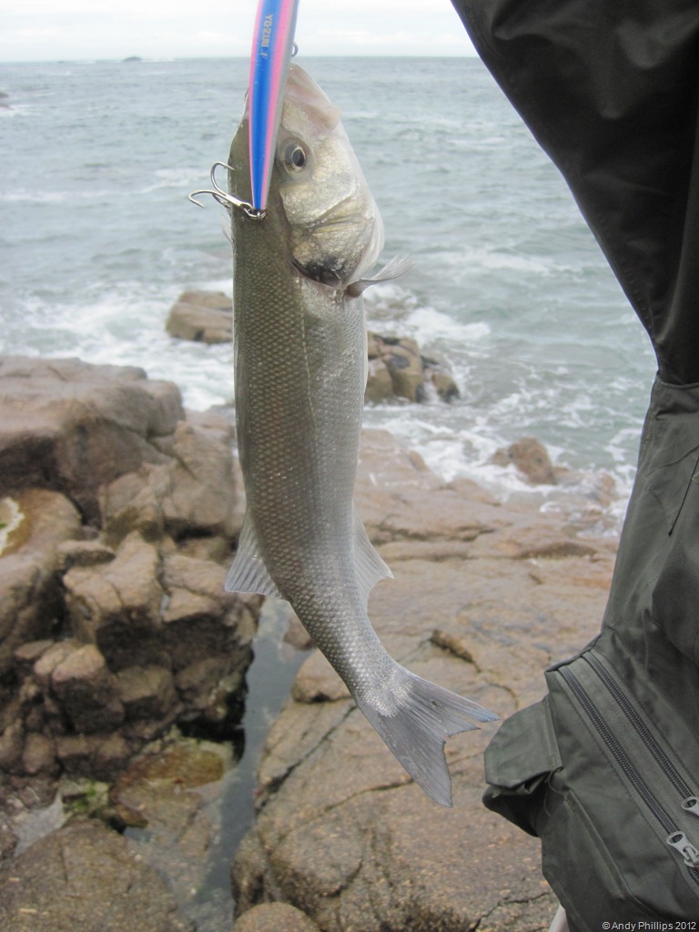 [IMG_1195%255B4%255D.jpg]