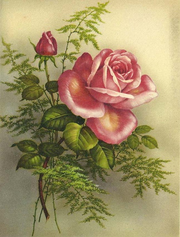 [lovelyrose2%255B7%255D.jpg]