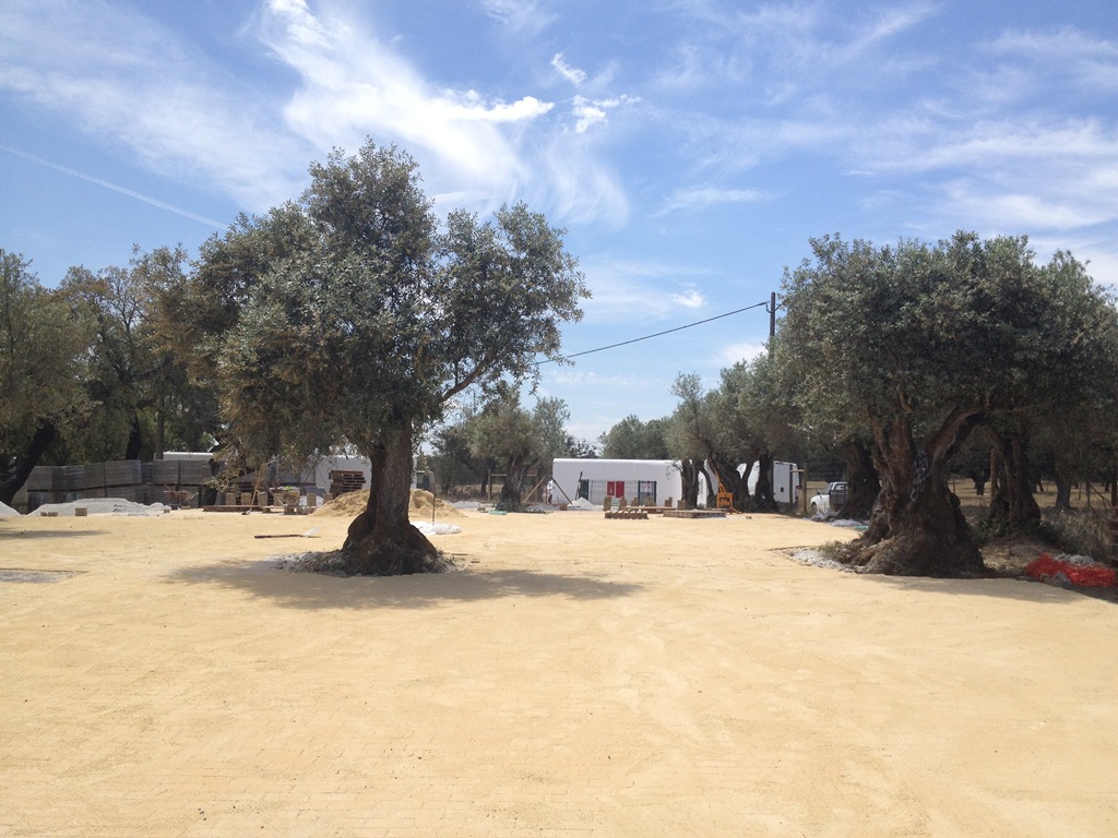 [IMG_2662%255B3%255D.jpg]