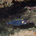 P4278015