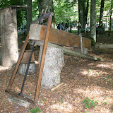 Gita a Foresta Umbra e Vieste - 5 settembre 2009