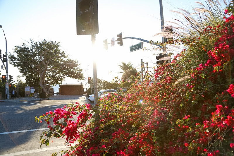 laguna beach family lifestyle photography-1