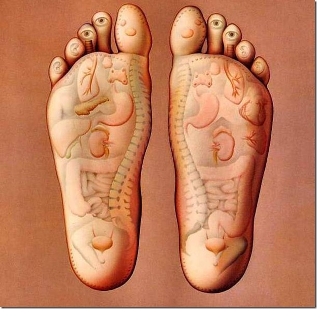LegRelatedwithOrgans
