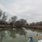 IMG_1508.JPG