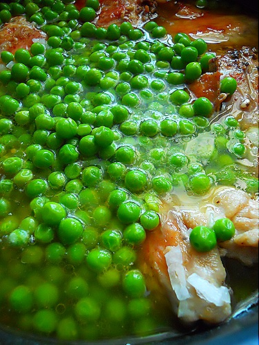 DSCN9058 DSCN9058