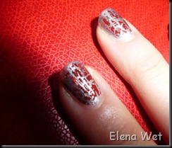 P1050647_rosse