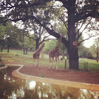 IMG_1094.JPG