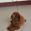 IMG_9918.jpg