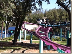 SeaWorld (16)