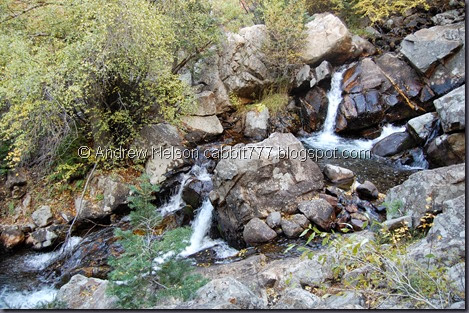 DSC_0495 DSC_0495