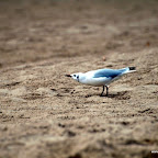 20100822_123_small.JPG