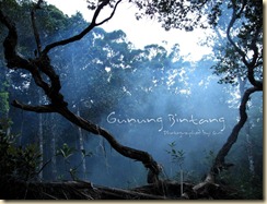 Gunung Bintang