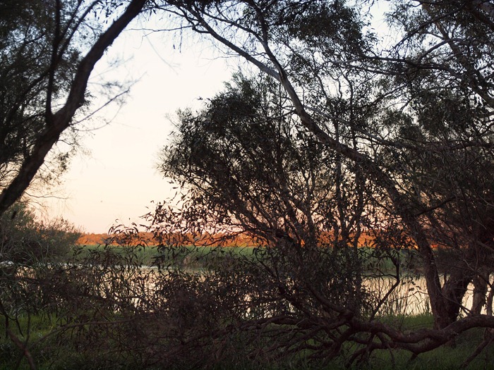 7. morning