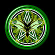 Green Dragon