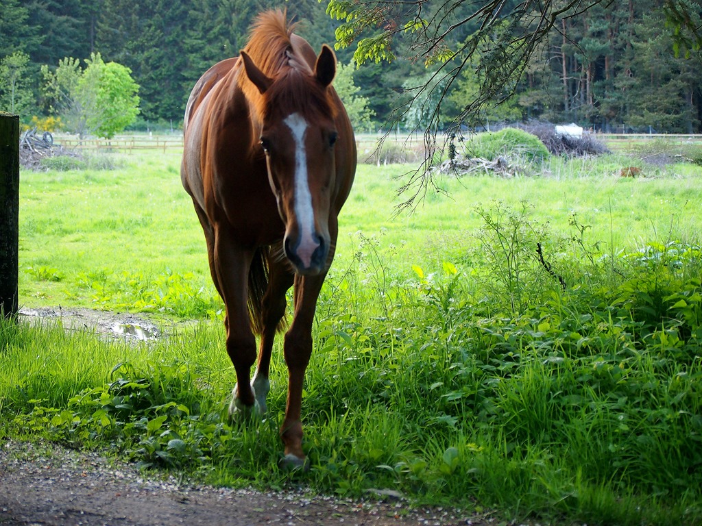 [26%2520May%25203%255B3%255D.jpg]