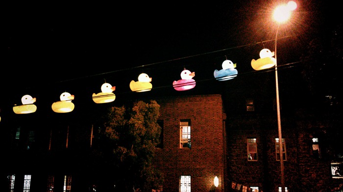duckie love