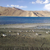 010620101229.jpg