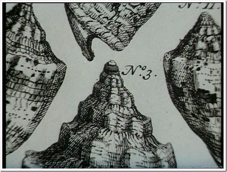 jan svankmajer historia naturae emmerdeur_07 jan svankmajer historia naturae emmerdeur_07