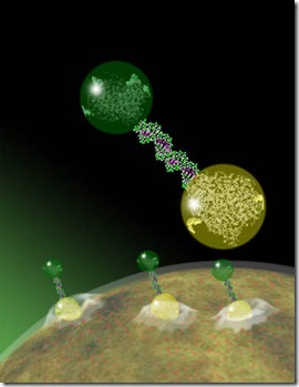 Nano medicine Nano medicine