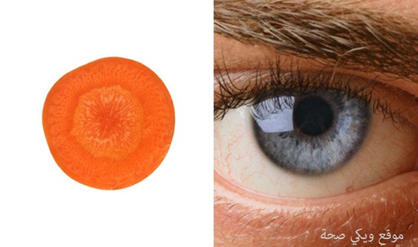 01-Carrot-Eye-Foods-That-Look-Like-Body-Parts-1 01-Carrot-Eye-Foods-That-Look-Like-Body-Parts-1