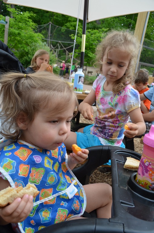 [DSC_0850%255B3%255D.jpg]