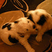 DSCN0155.JPG