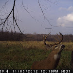 PICT0005.JPG