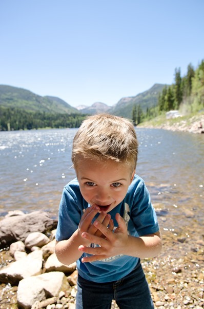 camping-39 camping-39