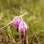 IMG_6822.JPG
