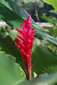 DSC_0984.jpg