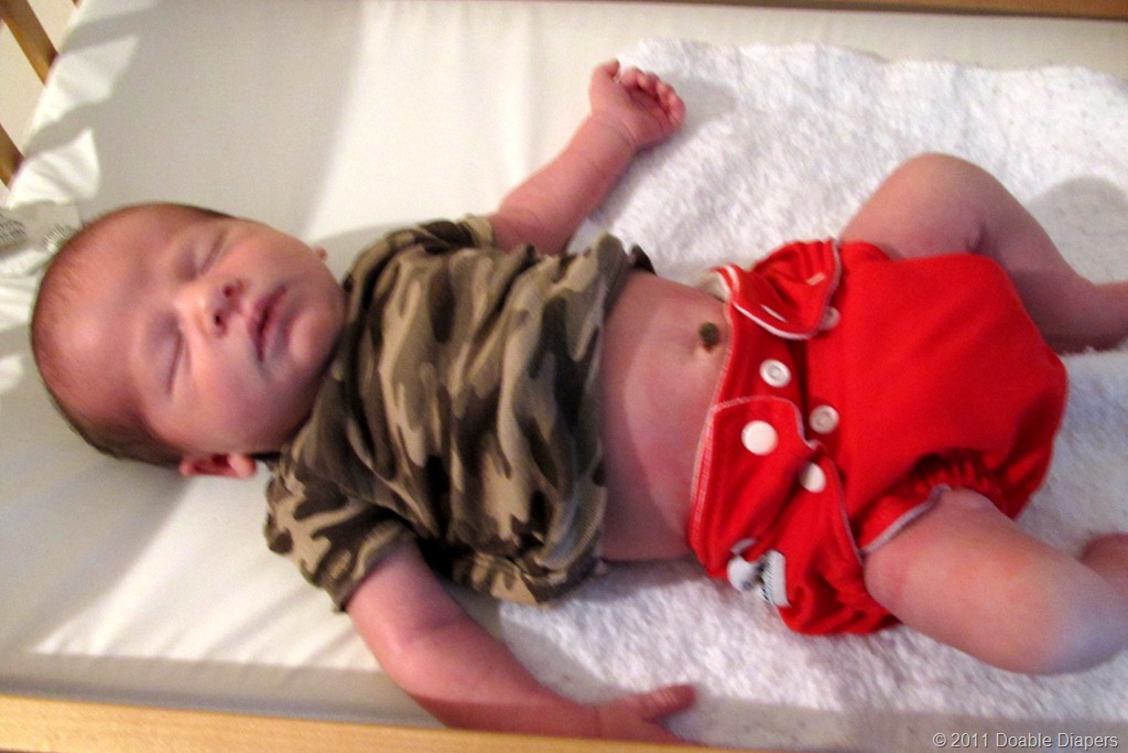 [Nolan%252012%2520Days%2520FuzziBunz%2520One%2520Size%2520diaper_0001%255B8%255D.jpg]