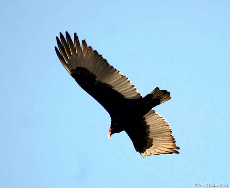 [IMG_7407%255B10%255D.jpg]