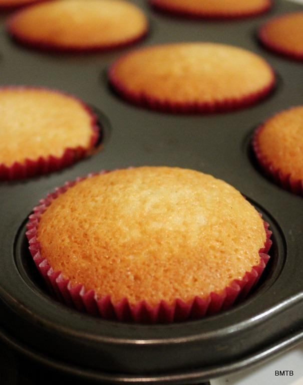 [Cooked%2520Cupcakes%255B5%255D.jpg]
