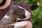 Karmacoma Shadowplay 7 weeks