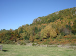 Bosque denda as brañas de Monasterio de Hermo