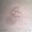 IMAG0032.jpg