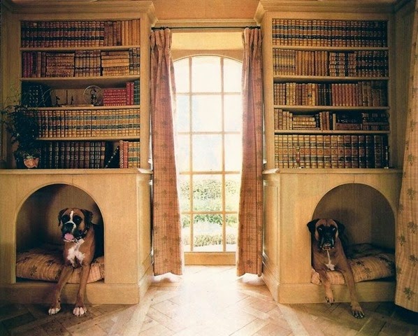 Casa de cachorro - biblioteca