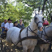 08_szuretibal_007.jpg