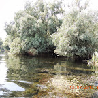 DSCN3099.JPG