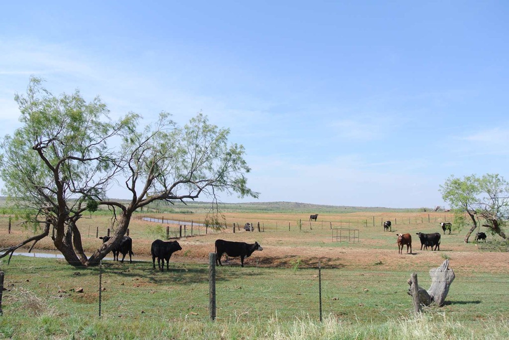 [DSC_3467%255B3%255D.jpg]