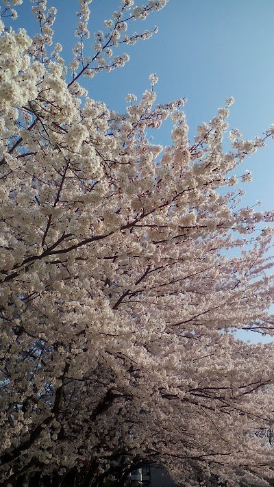 2015-04-02 08.11.47.jpg