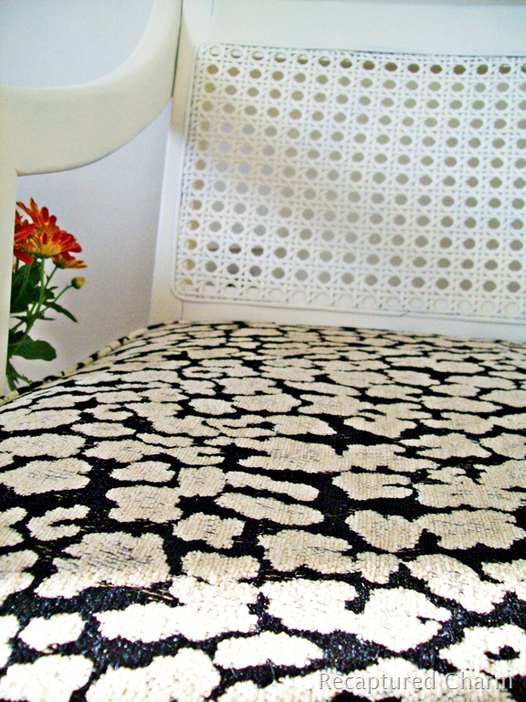 [Square%2520Cane%2520Back%2520chairs%2520017a%255B4%255D.jpg]