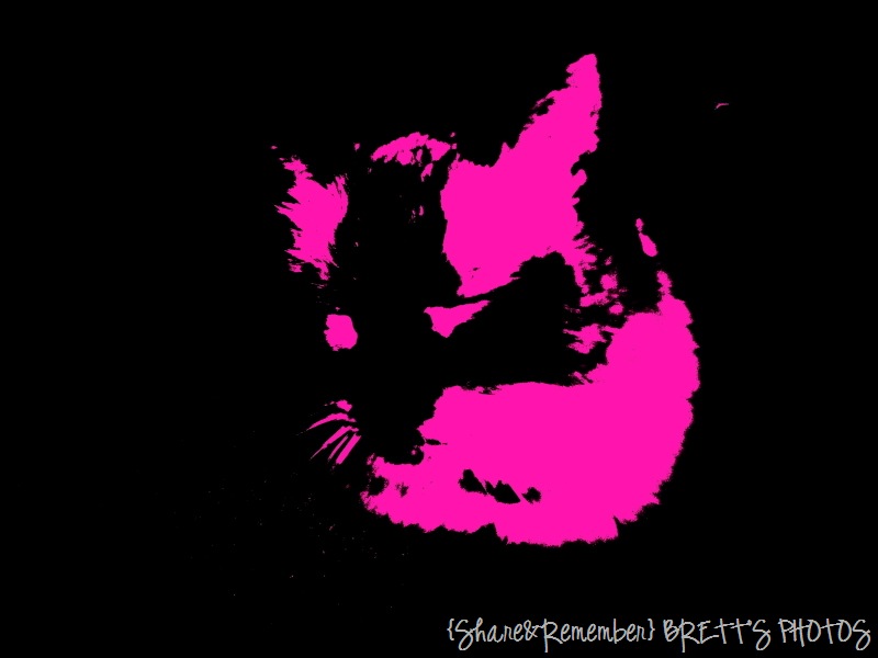 [stormypunk%255B5%255D.jpg]