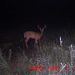 ICAM0012 (3).JPG