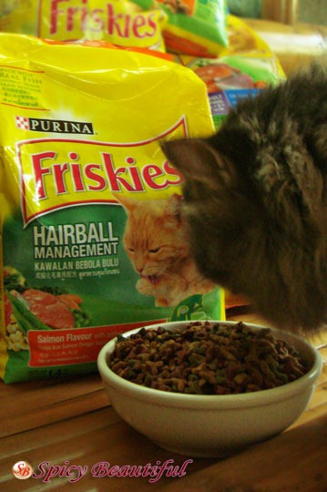 [Cat-Eating-Purina-Friskies-Hairball-Management%255B4%255D.jpg]