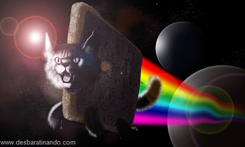 nyan cat wallpaper meme desbaratinando (9)