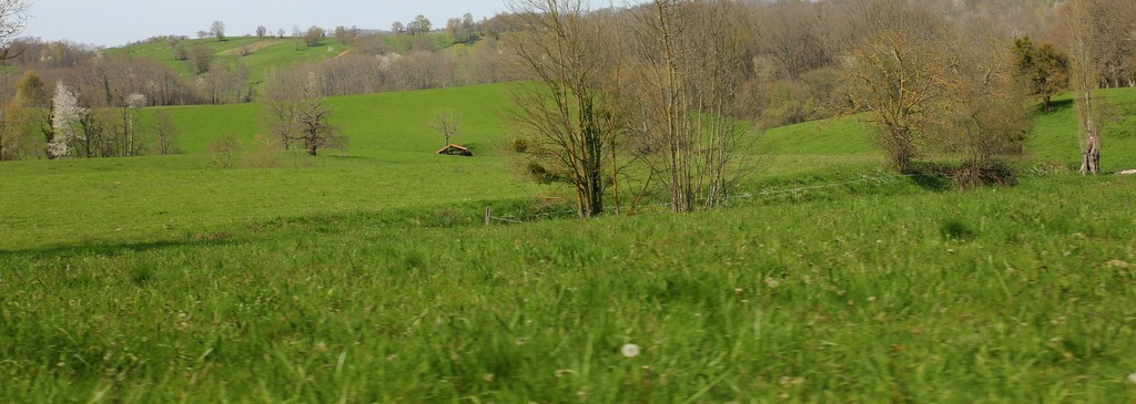 [IMG_81963.jpg]