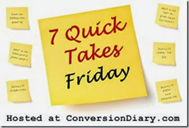 7_quick_takes_sm1 7_quick_takes_sm1