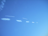 DSCN0221.JPG