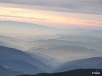 P1110377.JPG Photo